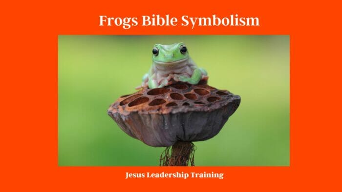 Frogs Bible Symbolism