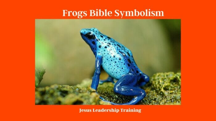 Frogs Bible Symbolism