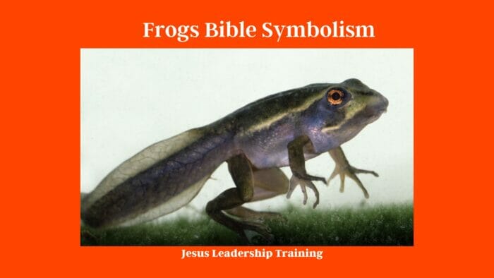 Frogs Bible Symbolism 2
