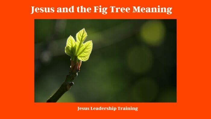 Jesus and the Fig Tree Meaning