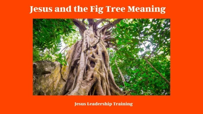 Jesus and the Fig Tree Meaning 