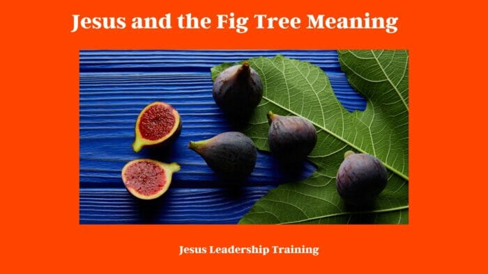 Jesus and the Fig Tree Meaning 