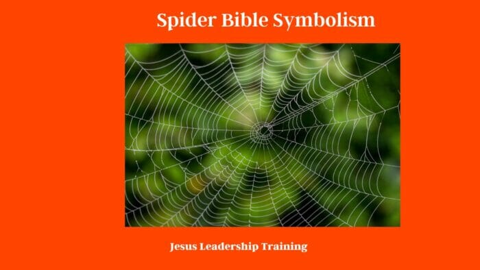 Spider Bible Symbolism