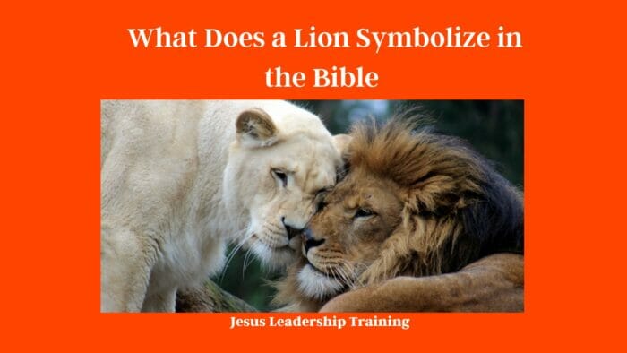 What Does a Lion Symbolize in the Bible