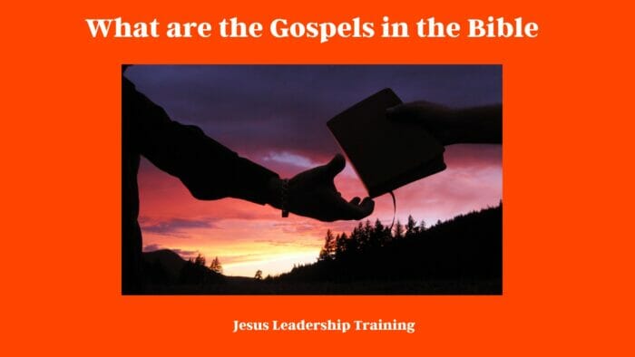 What are the Gospels in the Bible