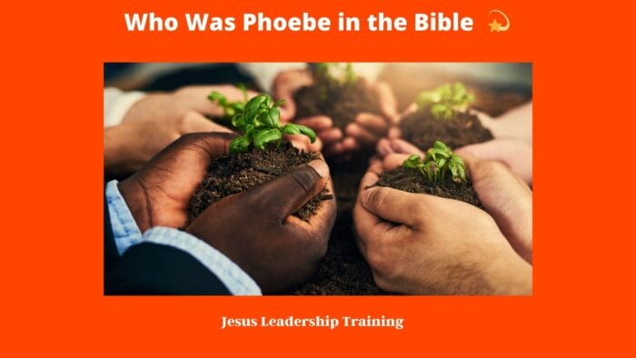 Who Was Phoebe in the Bible (2024) 💫