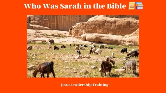 Who Was Sarah in the Bible 📜📚