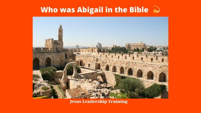 Who was Abigail in the Bible 💫