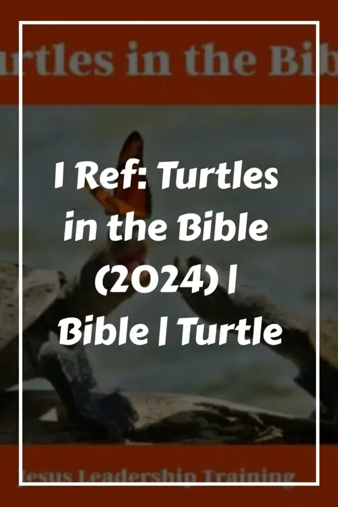 1 Ref Turtles in the Bible 2024 Bible Turtle generated pin 8657