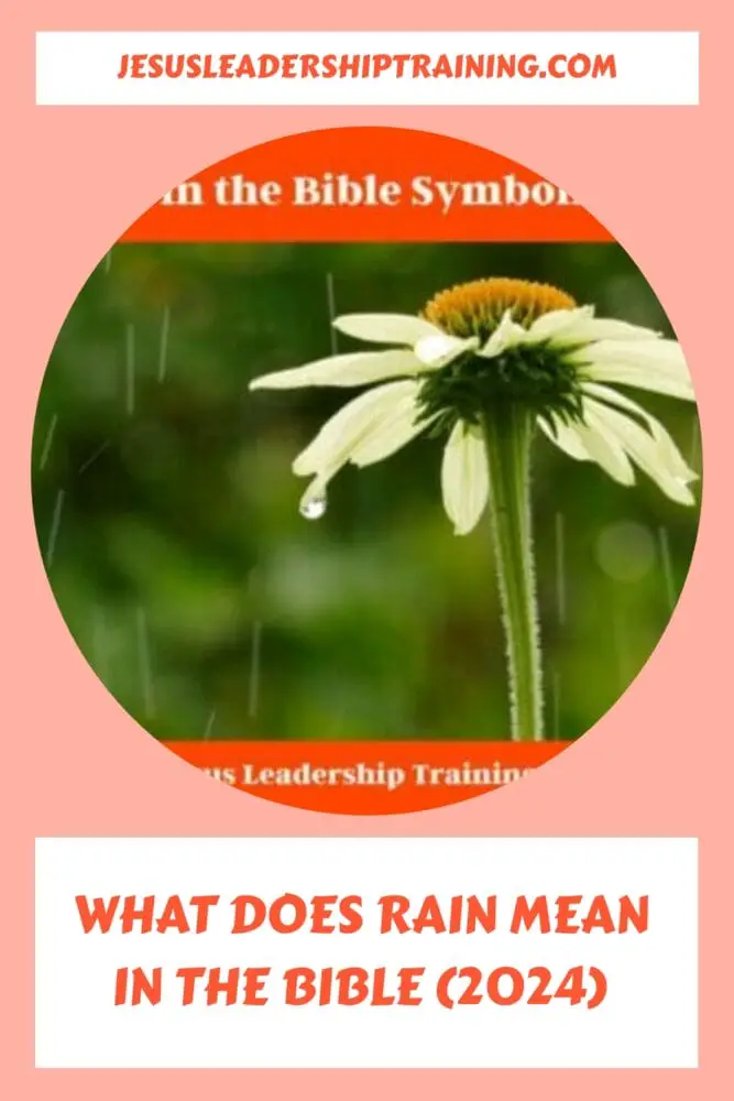 What Does Rain Mean in the Bible 2024🌧️ generated pin 10535 1
