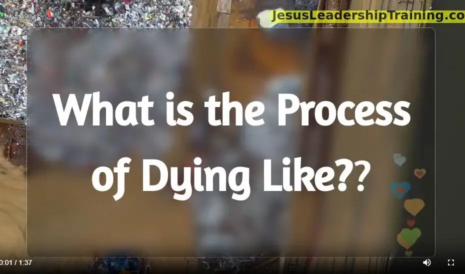 What is the Process of Dying Like